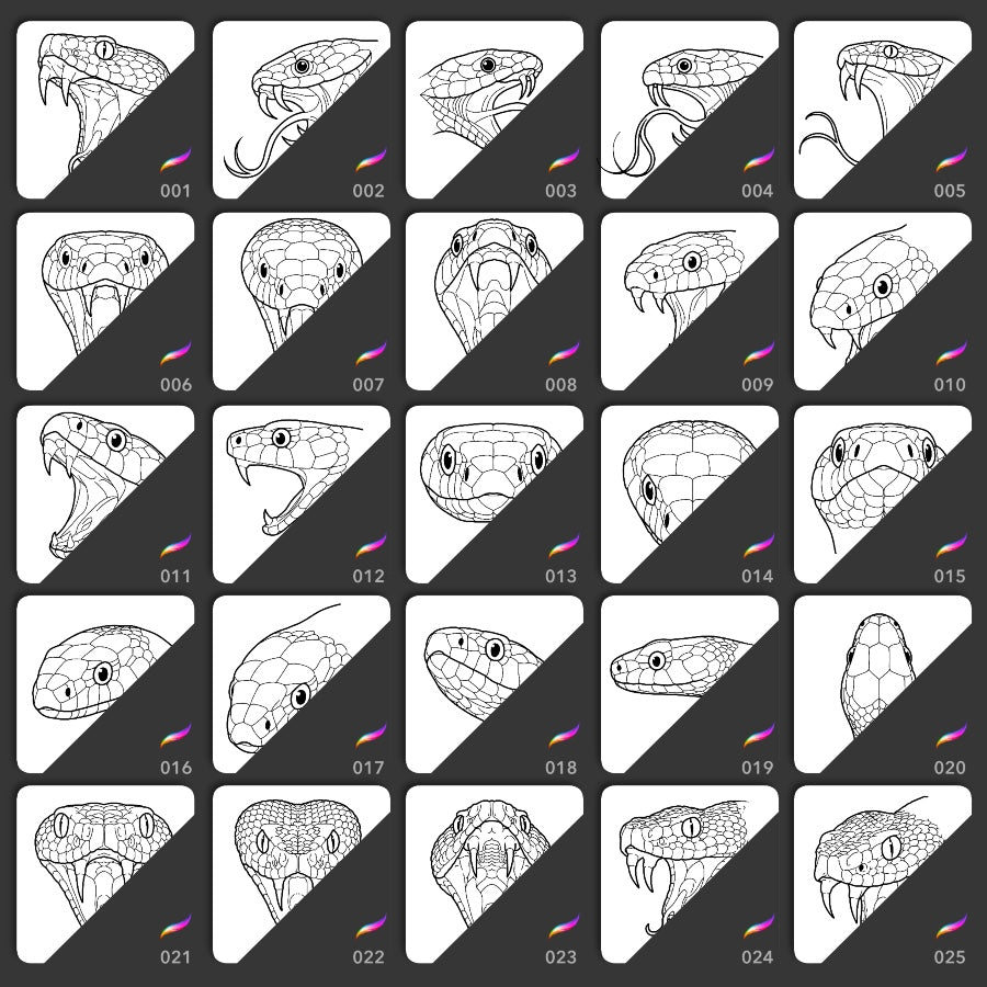 Ultimate Snake Kit • Procreate stamp brushes