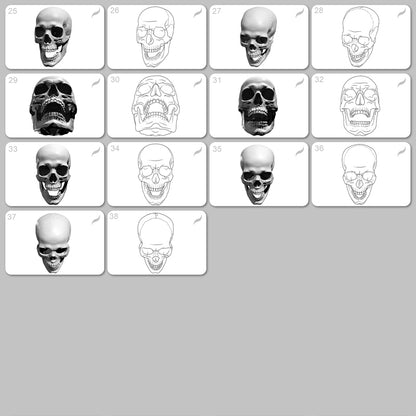 Human Skull • Procreate stamp brushes