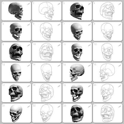 Human Skull • Procreate stamp brushes