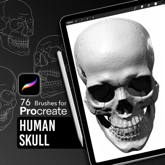 Human Skull • Procreate stamp brushes