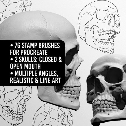 Human Skull • Procreate stamp brushes